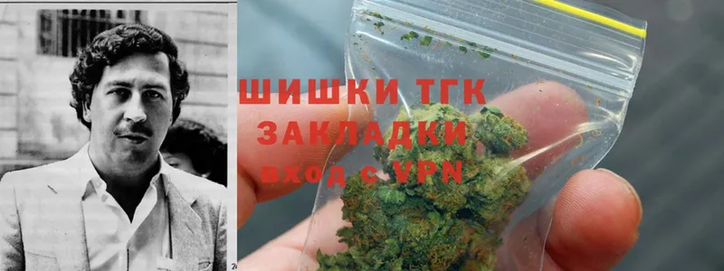 где купить   Заволжск  Шишки марихуана SATIVA & INDICA 